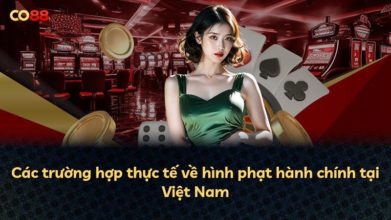 Các trường hợp thực tế về hình phạt hành chính tại Việt Nam