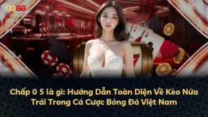 Chấp 0 5 là gì: Hướng Dẫn Toàn Diện Về Kèo Nửa Trái Trong Cá Cược Bóng Đá Việt Nam