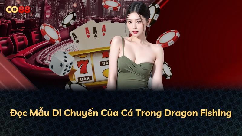 Đọc Mẫu Di Chuyển Của Cá Trong Dragon Fishing