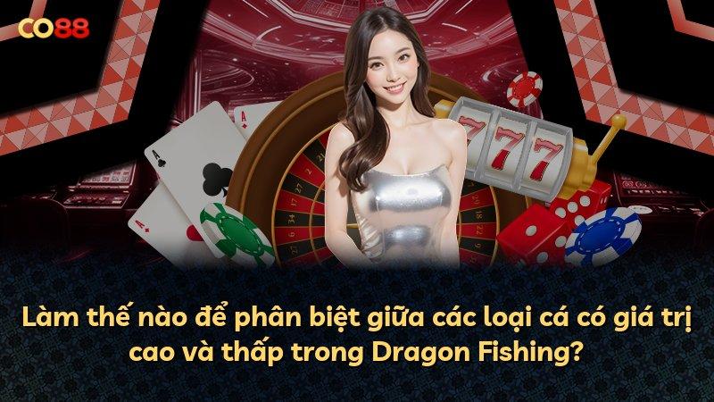 Làm thế nào để phân biệt giữa các loại cá có giá trị cao và thấp trong Dragon Fishing?