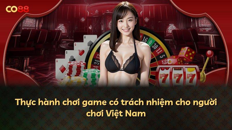 Thực hành chơi game có trách nhiệm cho người chơi Việt Nam